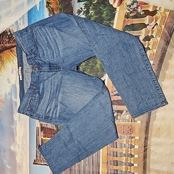 J Brand Aoki Blue Jeans Size 36x27